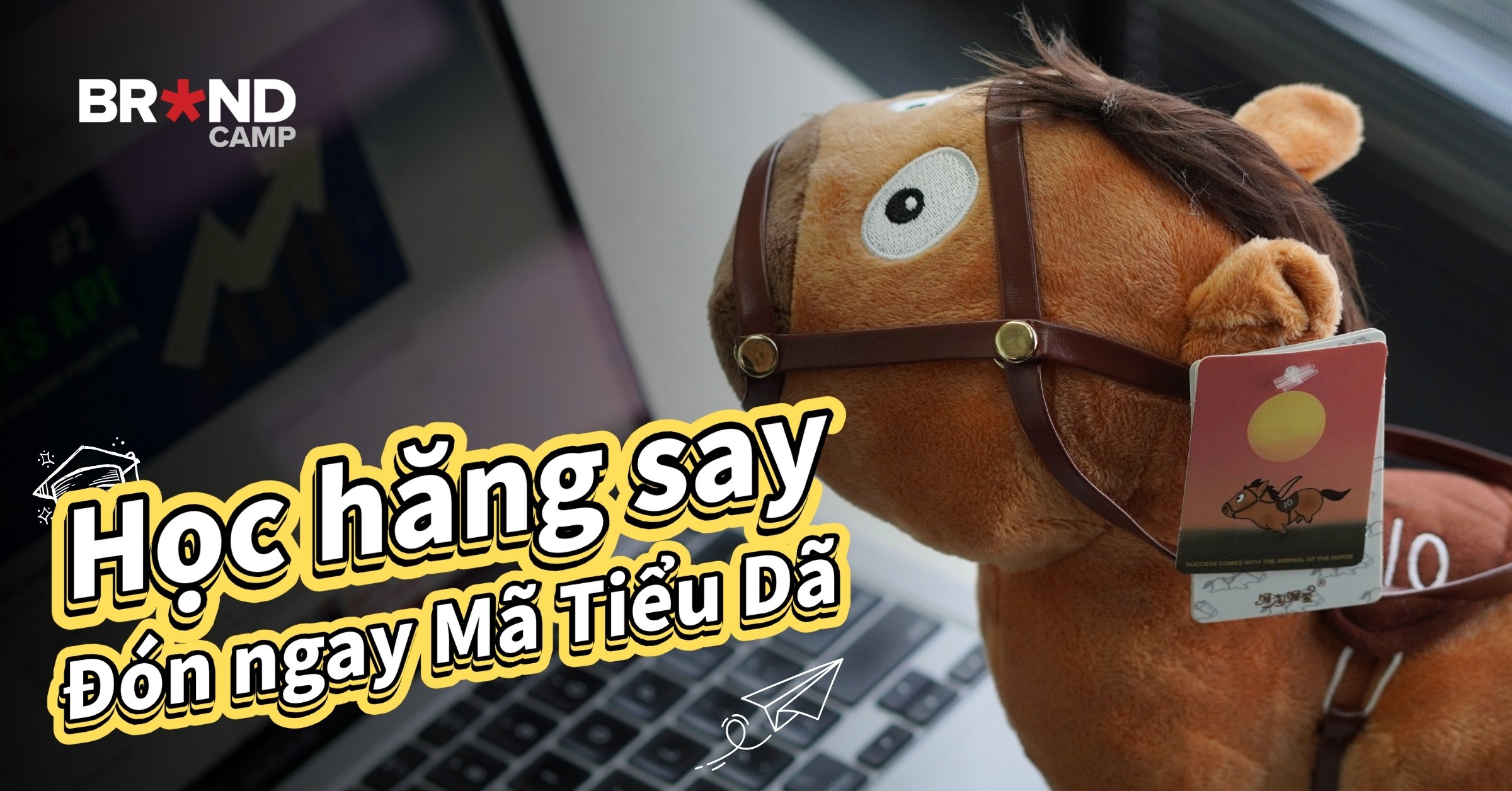 Mã Tiểu Dã – Chinh phục thành công qua phương pháp học tập